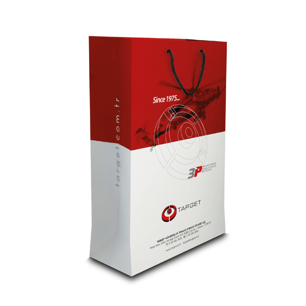 ALA-54 BÜYÜK BOY DİKEY KARTON ÇANTA(36x23x10.5 cm) | Promosyon Ürünleri