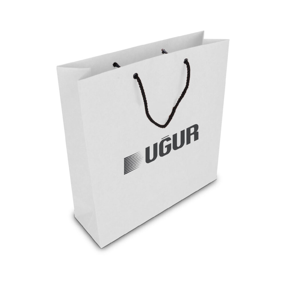 ALA-56 KÜÇÜK BOY KARTON ÇANTA(24x25.5x8,5 cm) | Promosyon Ürünleri