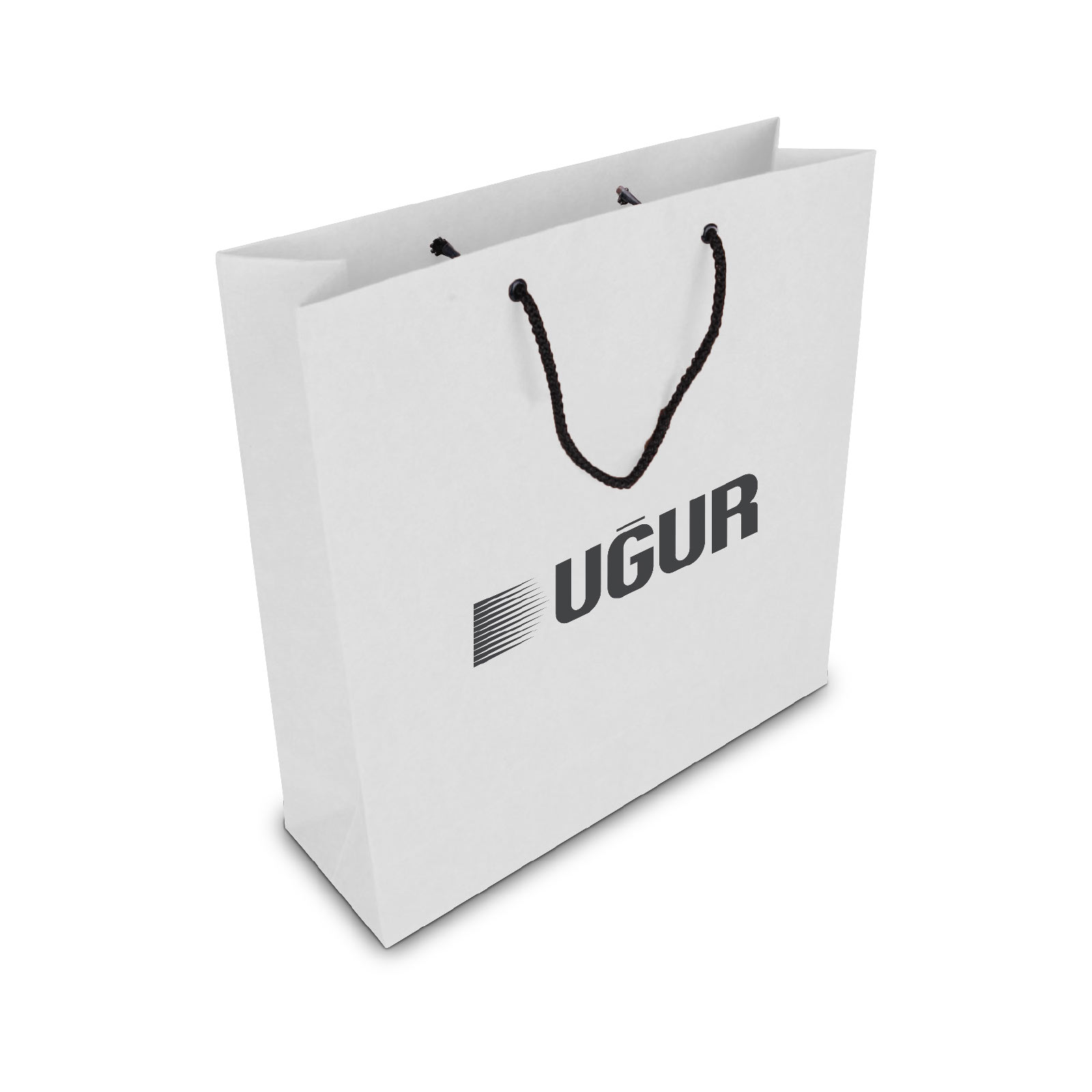 ALA-56 KÜÇÜK BOY KARTON ÇANTA(24x25.5x8,5 cm) | Promosyon Ürünleri