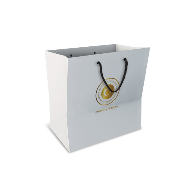 ALA-56 KÜÇÜK BOY KARTON ÇANTA(24x25.5x8,5 cm)